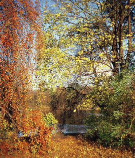 Buchen im Herbst am Wasser. Foto: Manfred Reschke, Wanderführer/Buchautor