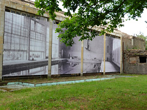 Ruine der Badeanstalt im ehemaligen Olympischen Dorf. Foto: Bernd Herzog-Schlagk, FUSS e.V.